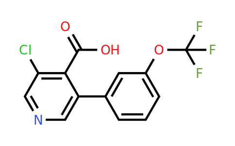 1261879-05-3 | 3-Chloro-5-(3-(trifluoromethoxy)phenyl)isonicotinic acid