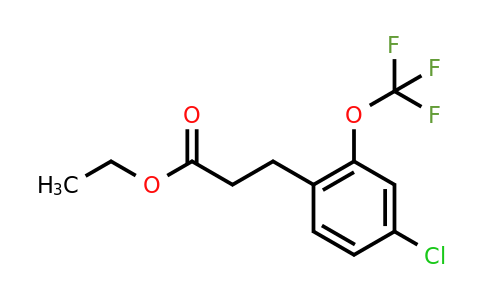 1261879-13-3 | Ethyl 3-(4'-chloro-2'-(trifluoromethoxy)phenyl)propionate