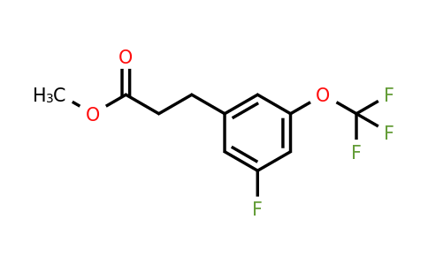 1261880-53-8 | Methyl 3-(3'-fluoro-5'-(trifluoromethoxy)phenyl)propionate