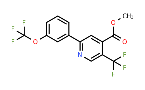 1261882-44-3 | Methyl 2-(3-(trifluoromethoxy)phenyl)-5-(trifluoromethyl)isonicotinate