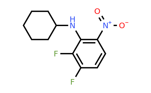 1273880-11-7 | N-Cyclohexyl-2,3-difluoro-6-nitroaniline