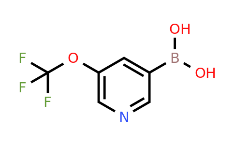 1293389-50-0 | (5-(Trifluoromethoxy)pyridin-3-yl)boronic acid