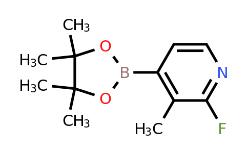 1310383-57-3 | 2-Fluoro-3-methyl-4-(4,4,5,5-tetramethyl-1,3,2-dioxaborolan-2-yl)pyridine