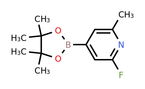 1310384-07-6 | 2-Fluoro-6-methyl-4-(4,4,5,5-tetramethyl-1,3,2-dioxaborolan-2-yl)pyridine