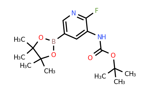 1310405-07-2 | tert-Butyl (2-fluoro-5-(4,4,5,5-tetramethyl-1,3,2-dioxaborolan-2-yl)pyridin-3-yl)carbamate