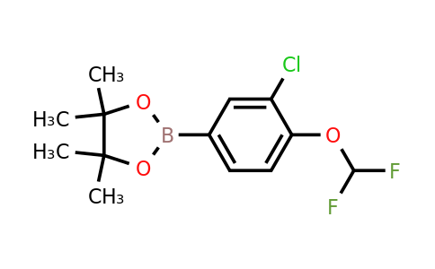 1310949-92-8 | 2-(3-Chloro-4-(difluoromethoxy)phenyl)-4,4,5,5-tetramethyl-1,3,2-dioxaborolane