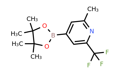 1321518-03-9 | 2-Methyl-4-(4,4,5,5-tetramethyl-1,3,2-dioxaborolan-2-yl)-6-(trifluoromethyl)pyridine