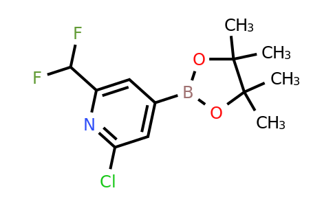 1321518-08-4 | 2-Chloro-6-(difluoromethyl)-4-(4,4,5,5-tetramethyl-1,3,2-dioxaborolan-2-yl)pyridine