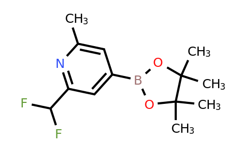 1321518-16-4 | 2-(Difluoromethyl)-6-methyl-4-(4,4,5,5-tetramethyl-1,3,2-dioxaborolan-2-yl)pyridine