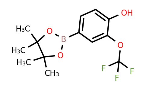 1350989-48-8 | 4-(4,4,5,5-Tetramethyl-1,3,2-dioxaborolan-2-yl)-2-(trifluoromethoxy)phenol