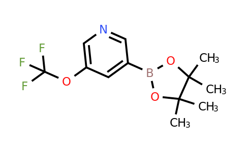 1351380-32-9 | 3-(4,4,5,5-Tetramethyl-1,3,2-dioxaborolan-2-yl)-5-(trifluoromethoxy)pyridine