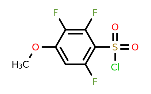 1352221-12-5 | 4-Methoxy-2,3,6-trifluorobenzenesulfonylchloride