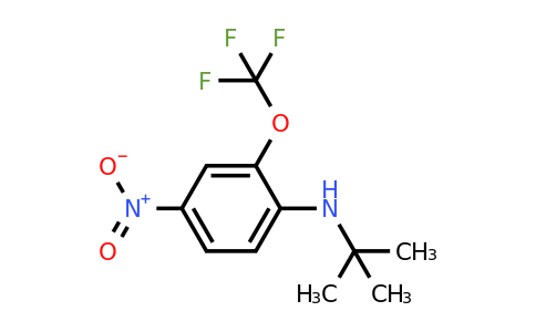 1352318-51-4 | N-(tert-Butyl)-4-nitro-2-(trifluoromethoxy)aniline