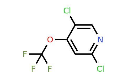 1361495-71-7 | 2,5-Dichloro-4-(trifluoromethoxy)pyridine