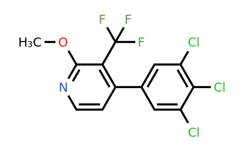 1361502-24-0 | 2-Methoxy-4-(3,4,5-trichlorophenyl)-3-(trifluoromethyl)pyridine