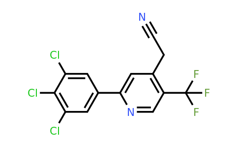 1361529-87-4 | 2-(3,4,5-Trichlorophenyl)-5-(trifluoromethyl)pyridine-4-acetonitrile