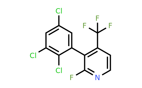 1361540-48-8 | 2-Fluoro-3-(2,3,5-trichlorophenyl)-4-(trifluoromethyl)pyridine