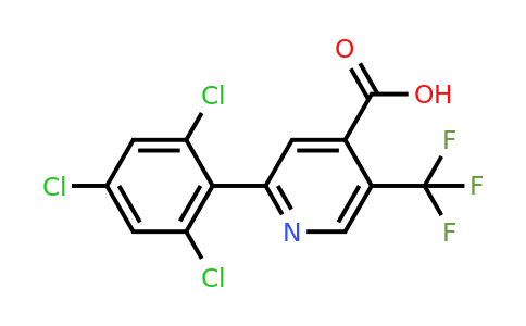 1361546-43-1 | 2-(2,4,6-Trichlorophenyl)-5-(trifluoromethyl)isonicotinic acid