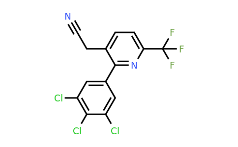 1361552-11-5 | 2-(3,4,5-Trichlorophenyl)-6-(trifluoromethyl)pyridine-3-acetonitrile