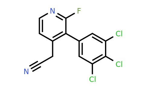 1361558-49-7 | 2-Fluoro-3-(3,4,5-trichlorophenyl)pyridine-4-acetonitrile