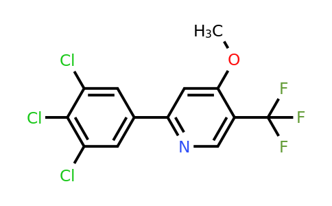 1361608-76-5 | 4-Methoxy-2-(3,4,5-trichlorophenyl)-5-(trifluoromethyl)pyridine