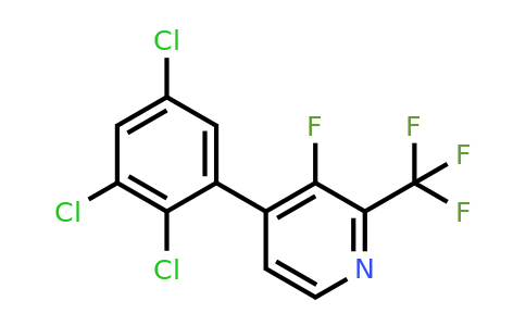 1361662-46-5 | 3-Fluoro-4-(2,3,5-trichlorophenyl)-2-(trifluoromethyl)pyridine