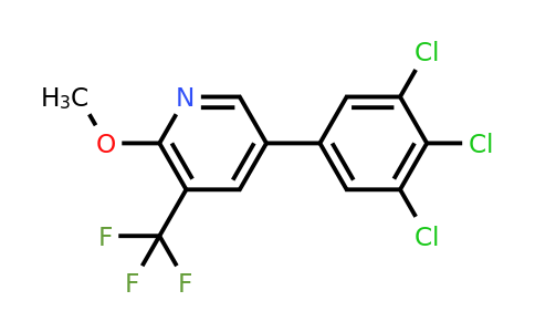1361669-46-6 | 2-Methoxy-5-(3,4,5-trichlorophenyl)-3-(trifluoromethyl)pyridine