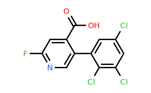 1361674-82-9 | 2-Fluoro-5-(2,3,5-trichlorophenyl)isonicotinic acid