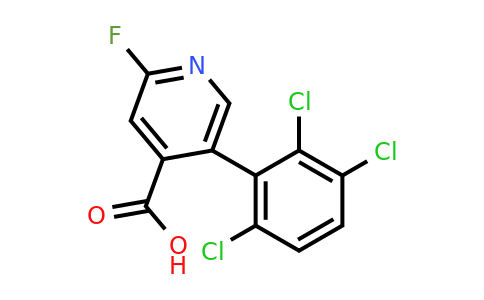 1361698-73-8 | 2-Fluoro-5-(2,3,6-trichlorophenyl)isonicotinic acid