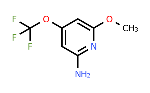 2-Amino-6-methoxy-4-(trifluoromethoxy)pyridine