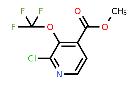 Methyl 2-chloro-3-(trifluoromethoxy)pyridine-4-carboxylate