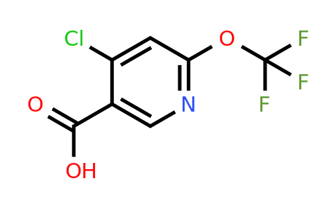 1361881-26-6 | 4-Chloro-6-(trifluoromethoxy)nicotinic acid