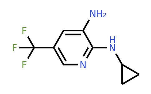 1383948-49-9 | N2-Cyclopropyl-5-(trifluoromethyl)pyridine-2,3-diamine