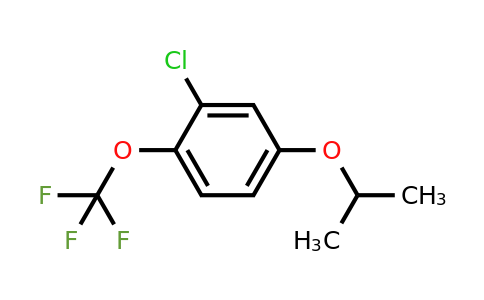 1395039-10-7 | 2-Chloro-4-isopropoxy-1-(trifluoromethoxy)benzene