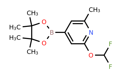 1402238-41-8 | 2-(Difluoromethoxy)-6-methyl-4-(4,4,5,5-tetramethyl-1,3,2-dioxaborolan-2-yl)pyridine