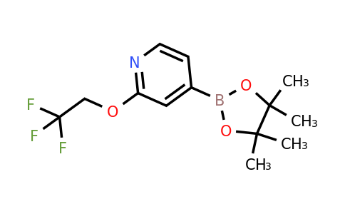 1415748-20-7 | 4-(4,4,5,5-Tetramethyl-1,3,2-dioxaborolan-2-yl)-2-(2,2,2-trifluoroethoxy)pyridine