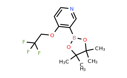 1416724-47-4 | 3-(4,4,5,5-Tetramethyl-1,3,2-dioxaborolan-2-yl)-4-(2,2,2-trifluoroethoxy)pyridine