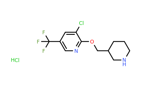 1417793-17-9 | 3-Chloro-2-(piperidin-3-ylmethoxy)-5-trifluoromethyl-pyridine hydrochloride