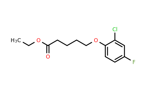 1443322-98-2 | Ethyl 5-(2-chloro-4-fluorophenoxy)pentanoate