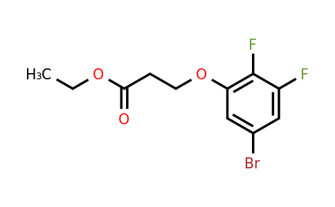 1443330-73-1 | Ethyl 3-(5-bromo-2,3-difluorophenoxy)propanoate
