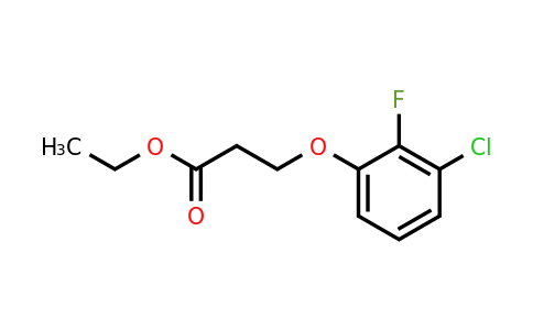 1443338-61-1 | Ethyl 3-(3-chloro-2-fluorophenoxy)propanoate
