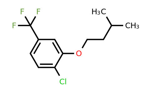 1443345-49-0 | 1-Chloro-2-(isopentyloxy)-4-(trifluoromethyl)benzene