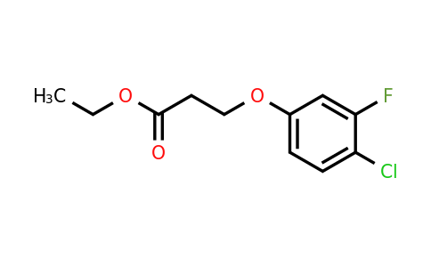 1443354-26-4 | Ethyl 3-(4-chloro-3-fluorophenoxy)propanoate
