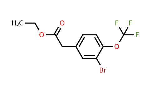 1445891-59-7 | Ethyl 3-bromo-4-(trifluoromethoxy)phenylacetate