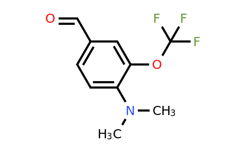 1446412-18-5 | 4-Dimethylamino-3-(trifluoromethoxy)benzaldehyde