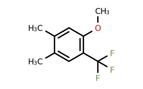 1446436-52-7 | 4,5-Dimethyl-2-(trifluoromethyl)anisole