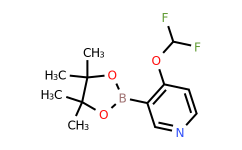 1446443-21-5 | 4-(Difluoromethoxy)-3-(4,4,5,5-tetramethyl-1,3,2-dioxaborolan-2-yl)pyridine