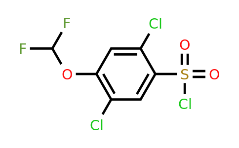 1548532-20-2 | 2,5-Dichloro-4-(difluoromethoxy)benzenesulfonylchloride