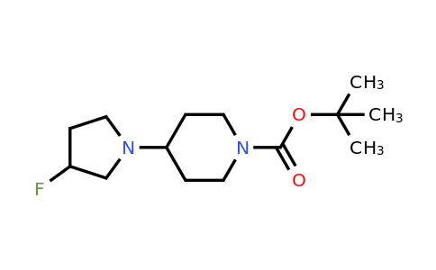 1552276-93-3 | tert-Butyl 4-(3-fluoropyrrolidin-1-yl)piperidine-1-carboxylate
