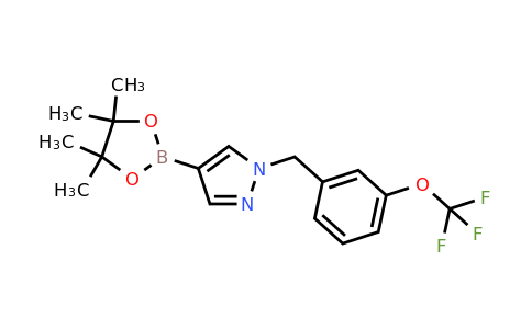 1604036-63-6 | 1H-Pyrazole, 4-(4,4,5,5-tetramethyl-1,3,2-dioxaborolan-2-yl)-1-[[3-(trifluoromethoxy)phenyl]methyl]-